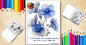 wildflowers coloring pages
