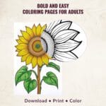 Bold and Easy Coloring pages for Adults – Featuring bold lines and large print illustrations for relaxation and beginner-friendly coloring.