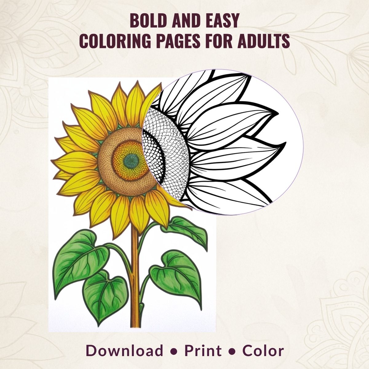 Bold and Easy Coloring Pages for Adults – Large Print Designs for Stress-Free Fun