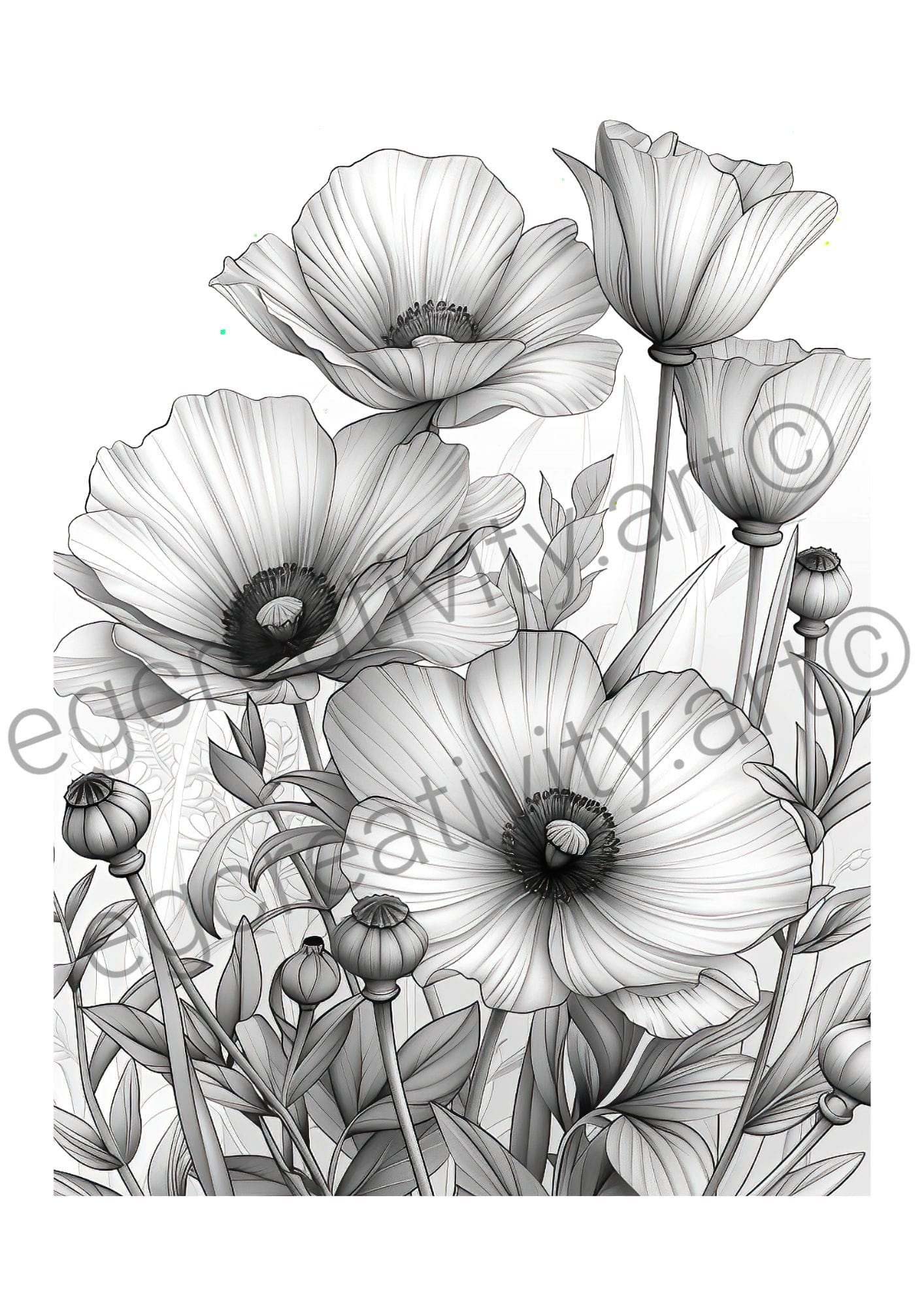 floral coloring pages book adults instant download