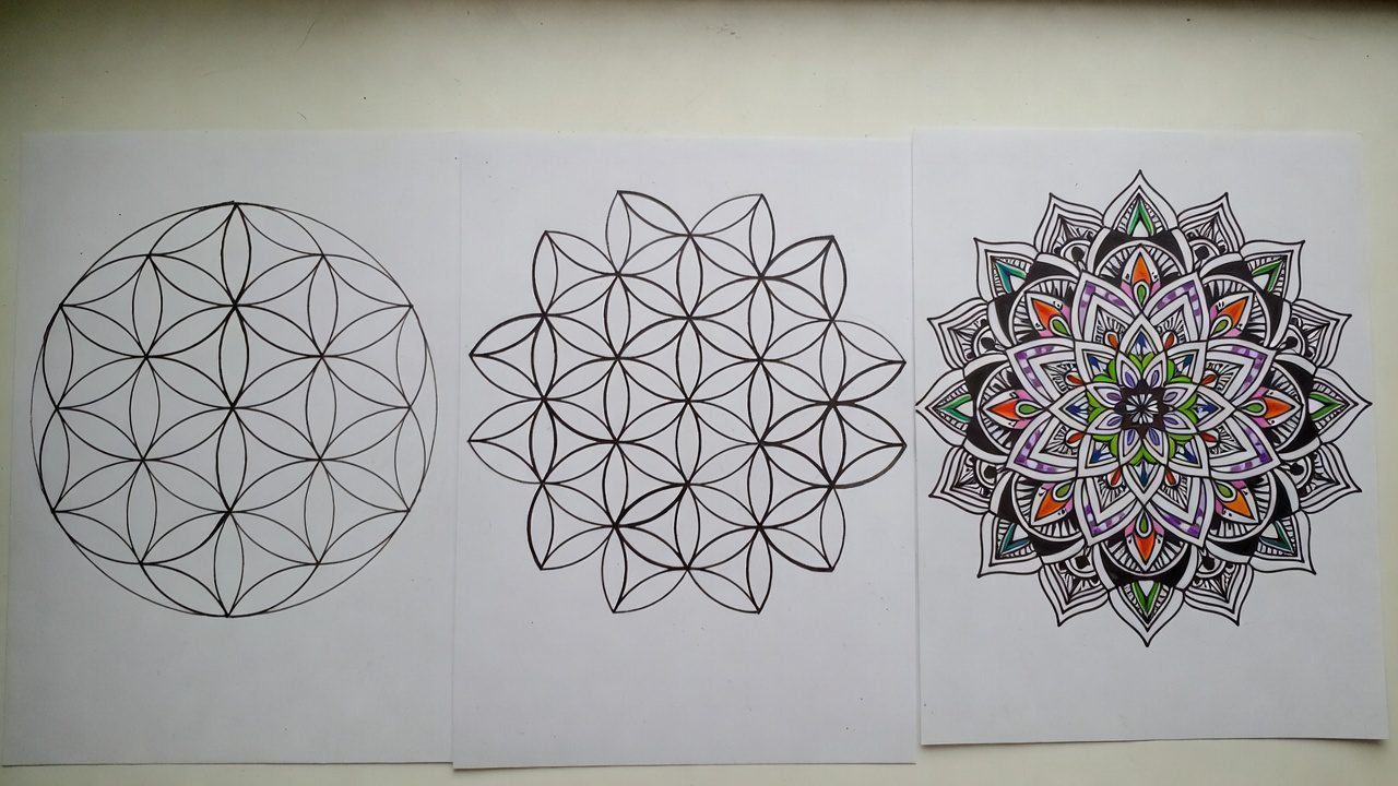 Comparison of mandalas by difficulty level, showing simple, intermediate, and intricate designs for coloring.